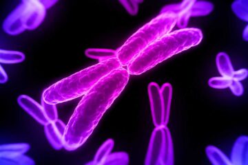 Understanding the Science of Chromosomes Unraveling the Secrets of Inheritance