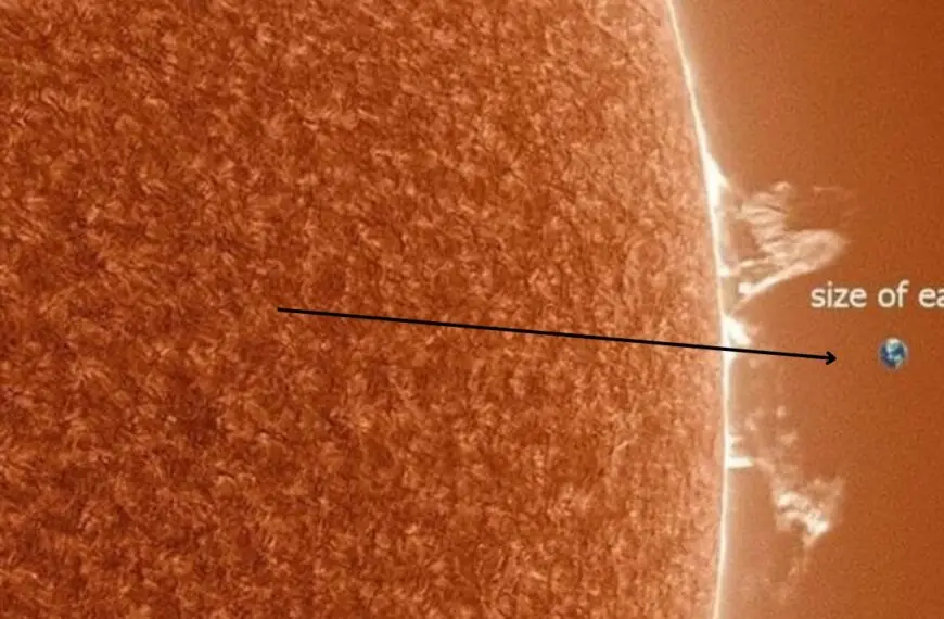 The Immense Scale of Our Sun: A Visual Comparison